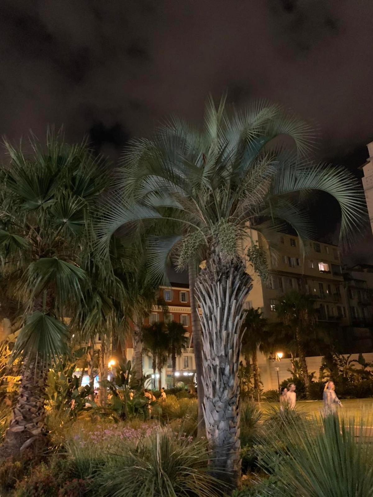 Apartment 33 On The Old Historic Senate Square Nizza Exterior foto
